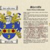 Coat of Arms (Family Crest) with Surname Origin & Meaning on a Parchment Background - Image 2